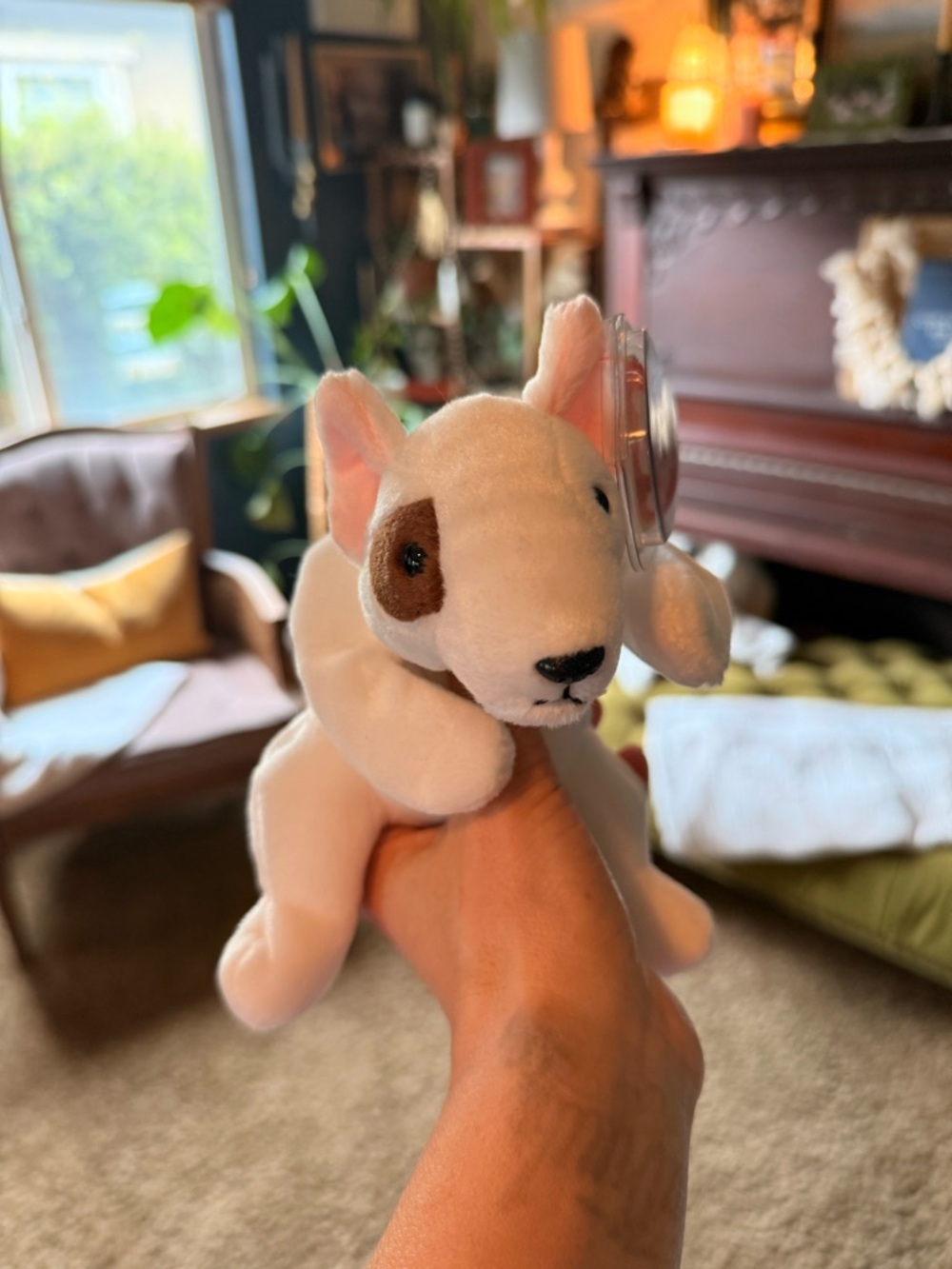 Ty Beanie Baby “Butch”